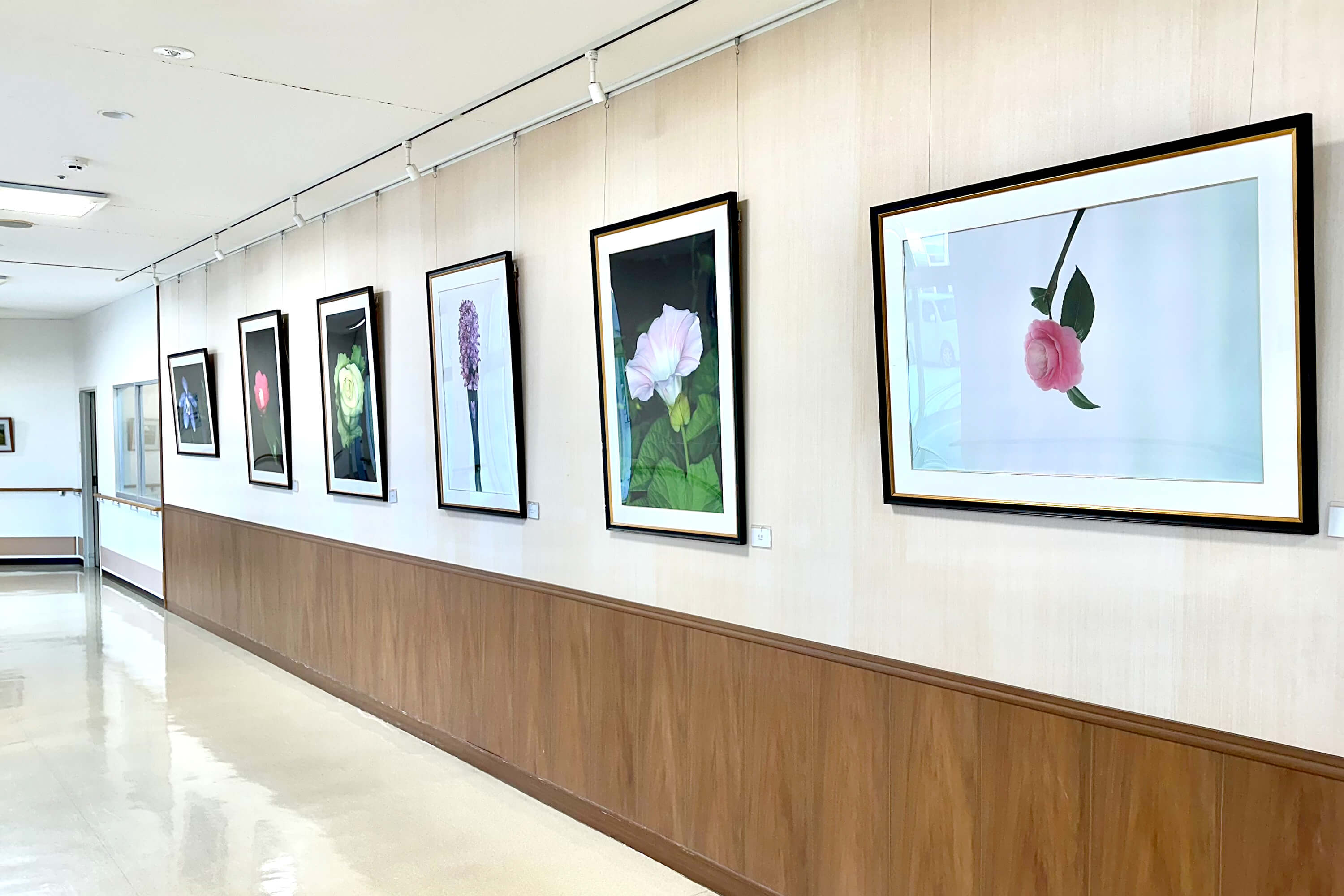 岩見沢明日佳病院院内